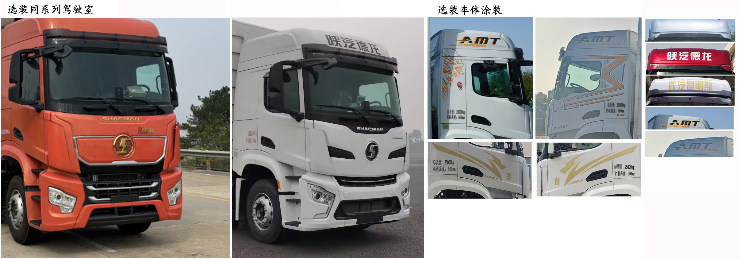 陕汽牌SX1259RB569载货汽车公告图片