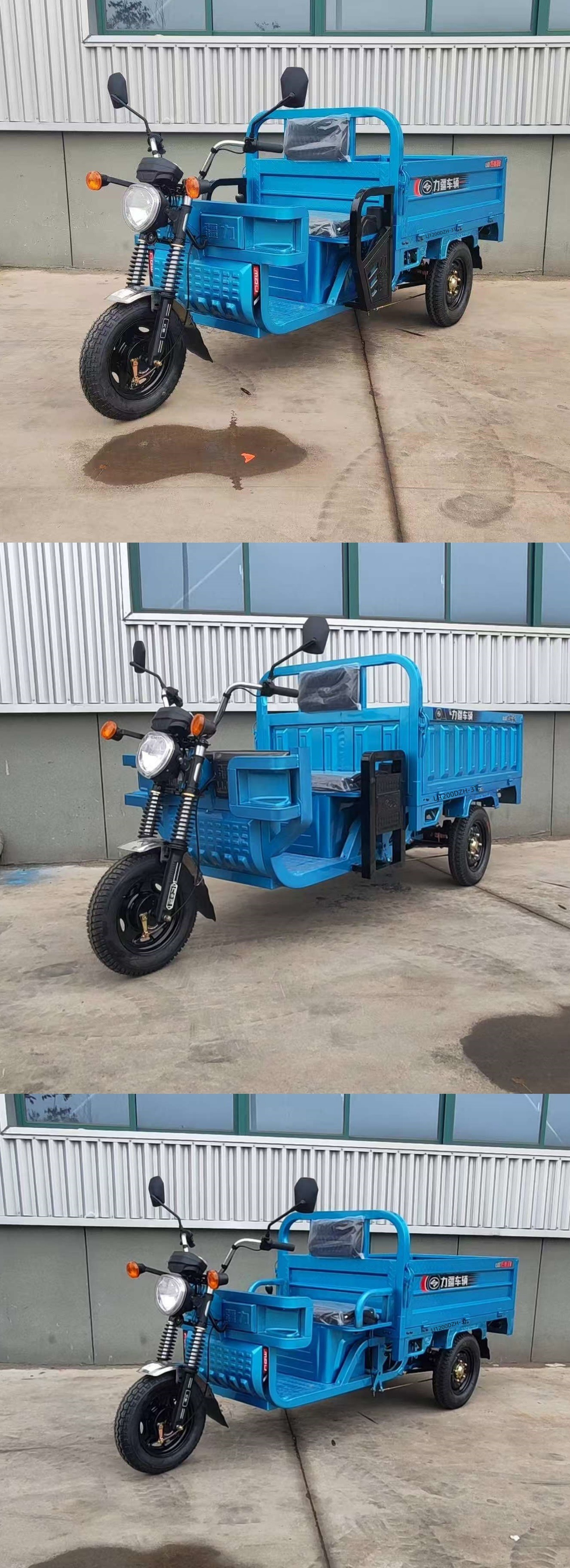 力疆牌LJ1200DZH-3T电动正三轮摩托车公告图片