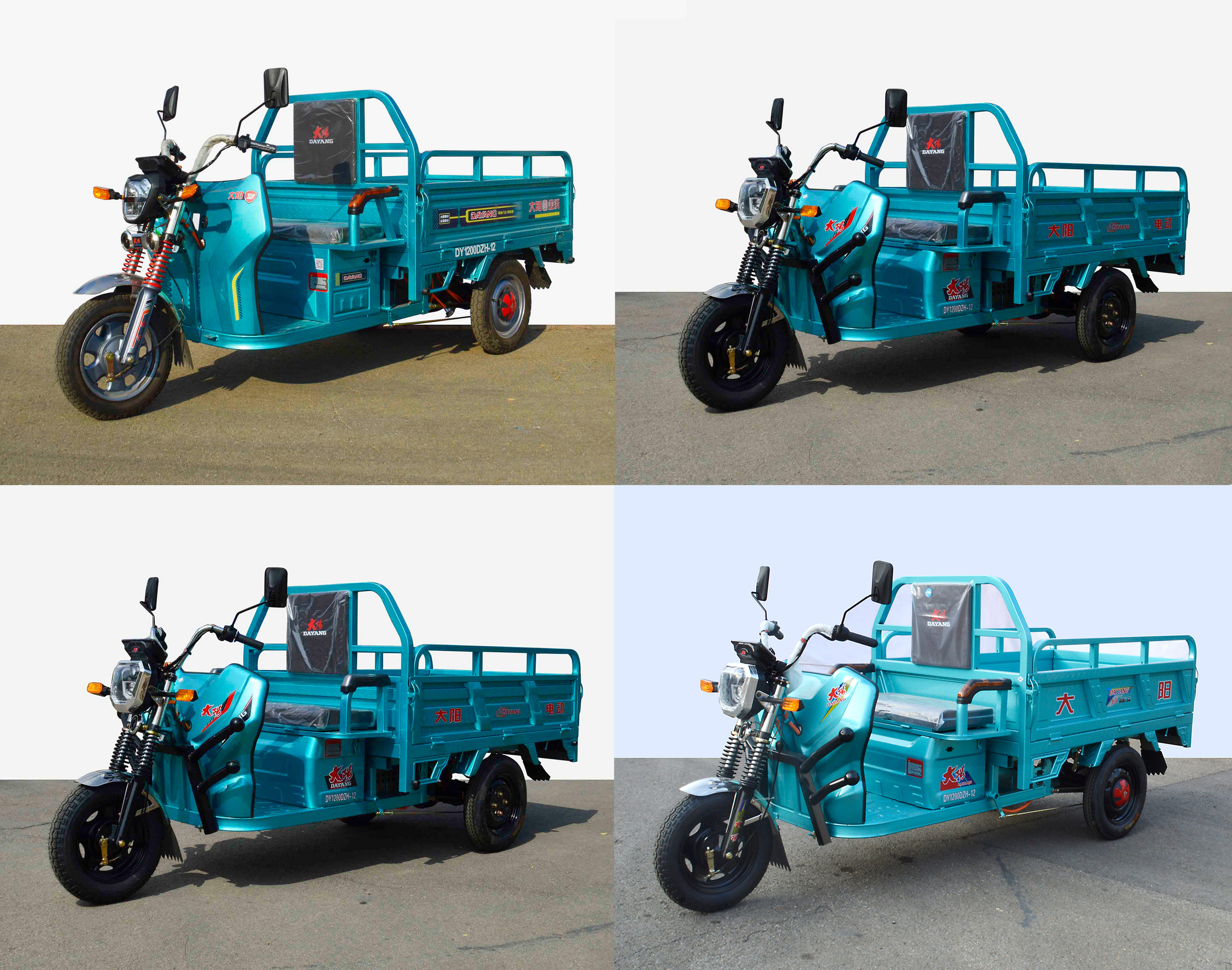 大阳牌DY1200DZH-12电动正三轮摩托车公告图片