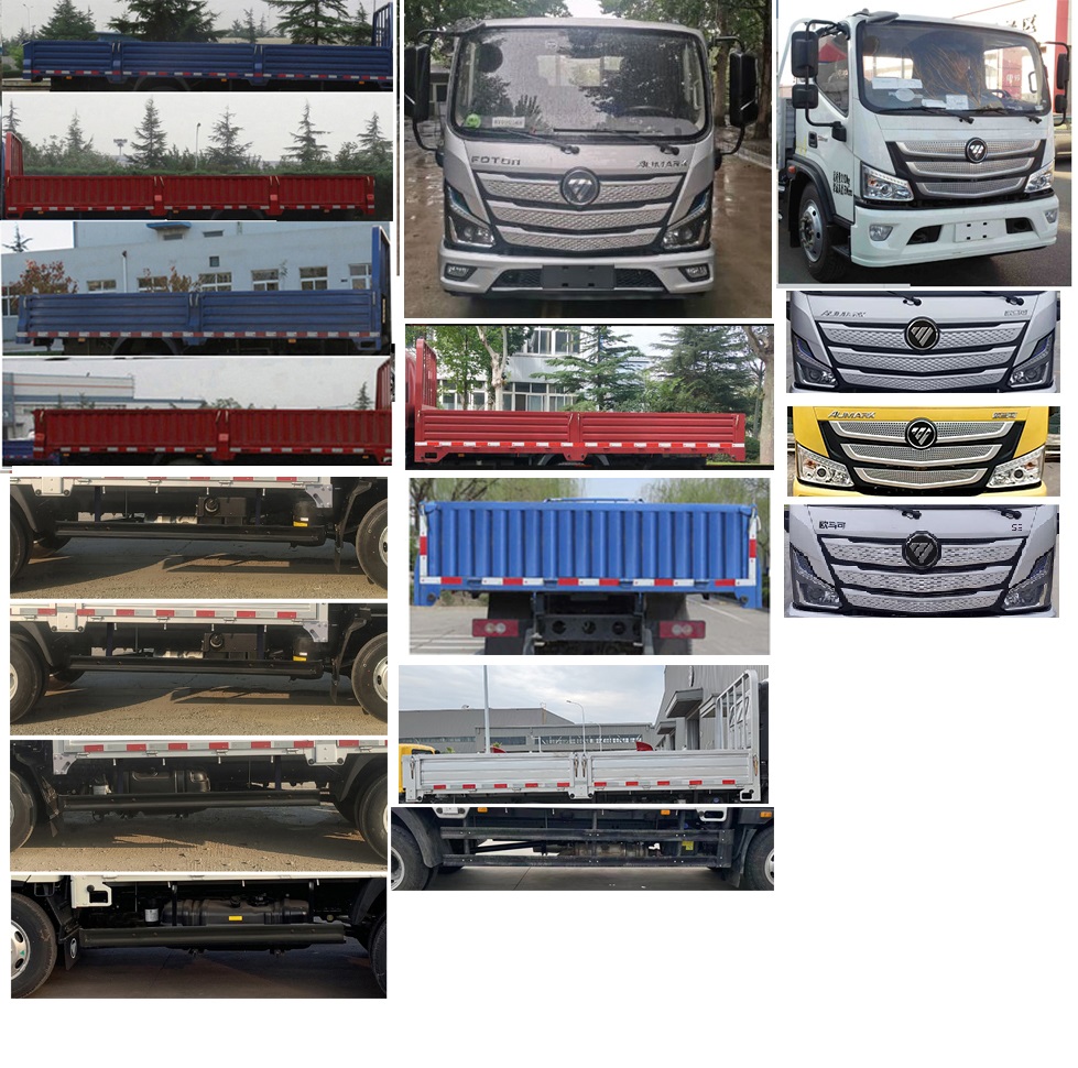 福田牌BJ1128VGJFA-FM1载货汽车公告图片