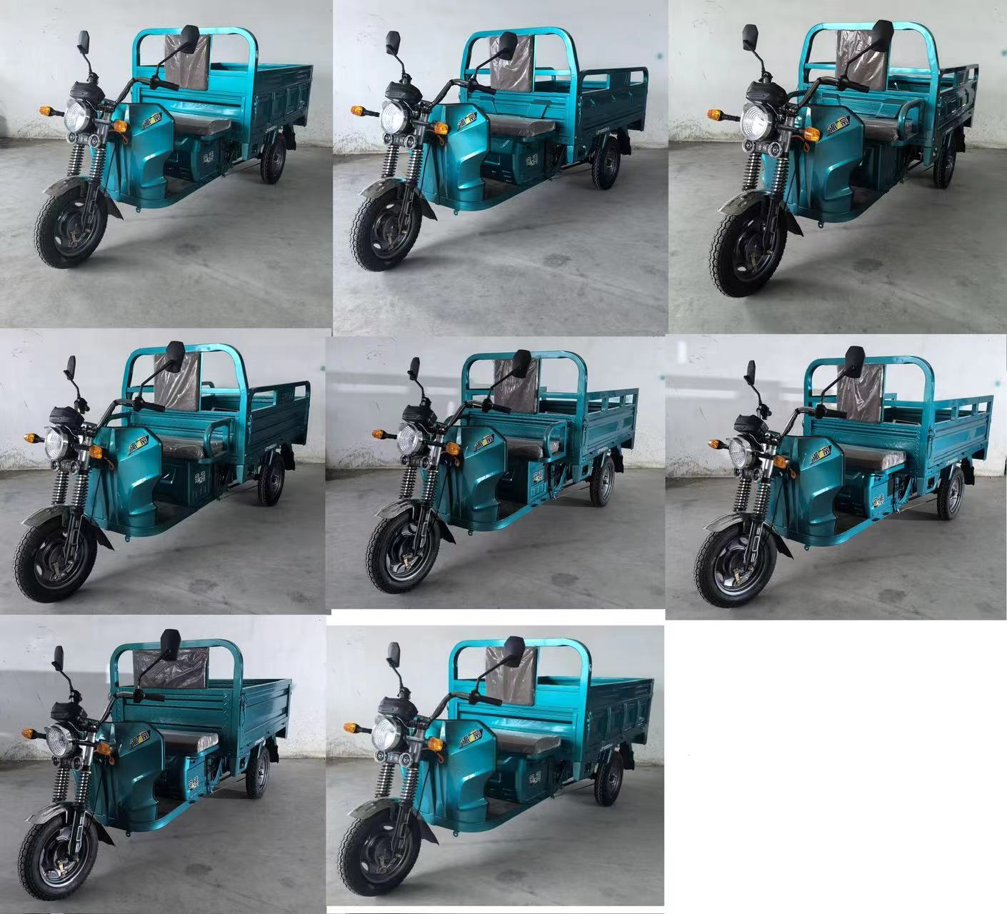 宗派牌LZP1000DZH-6电动正三轮摩托车公告图片
