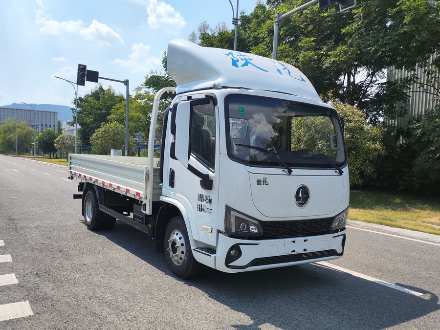 陕汽牌 185马力 载货汽车(SX1049NP6341)