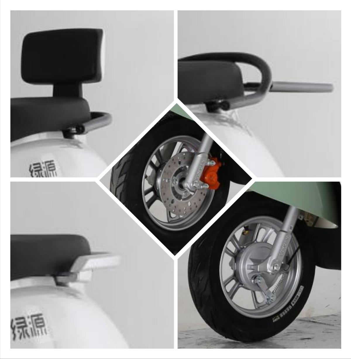 LY1000DT-16B 绿源牌纯电动前盘式/鼓式后鼓式电动两轮摩托车图片