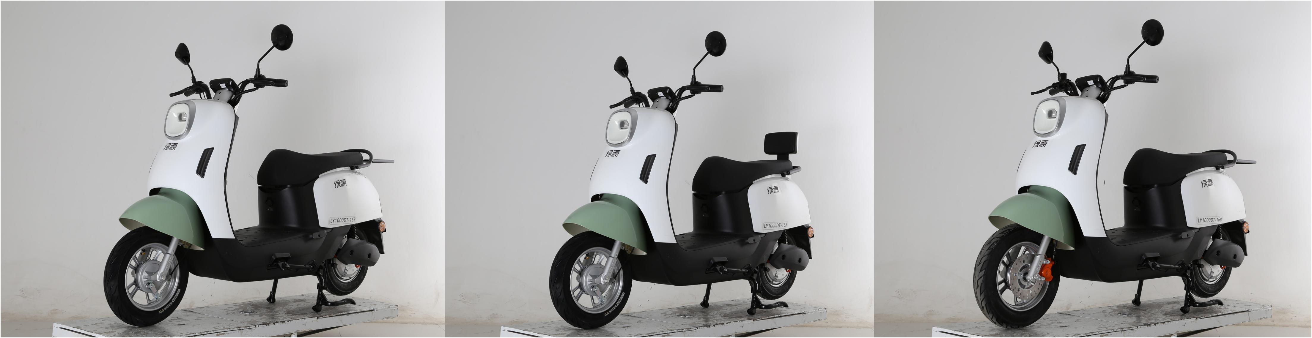 LY1000DT-16B 绿源牌纯电动前盘式/鼓式后鼓式电动两轮摩托车图片