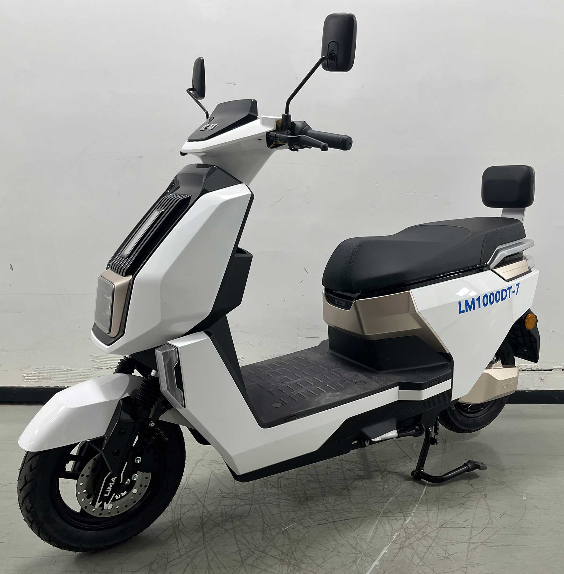 立马牌LM1000DT-7电动两轮摩托车公告图片