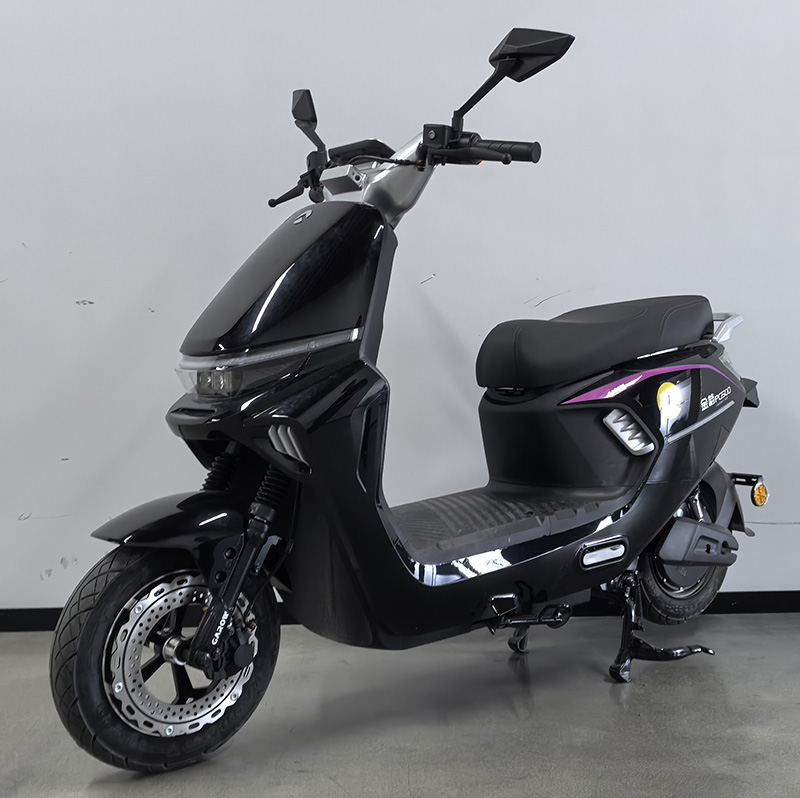 JJ1200DT-63A 金箭牌纯电动前盘式后盘式电动两轮摩托车图片