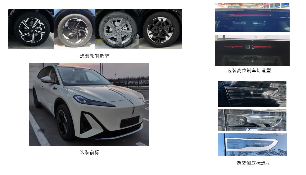 红旗牌CA6482H0EVA纯电动多用途乘用车公告图片