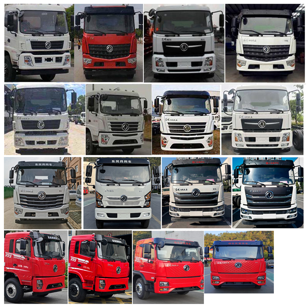 程力威牌CLW5160ZBS6CF擺臂式垃圾車公告圖片