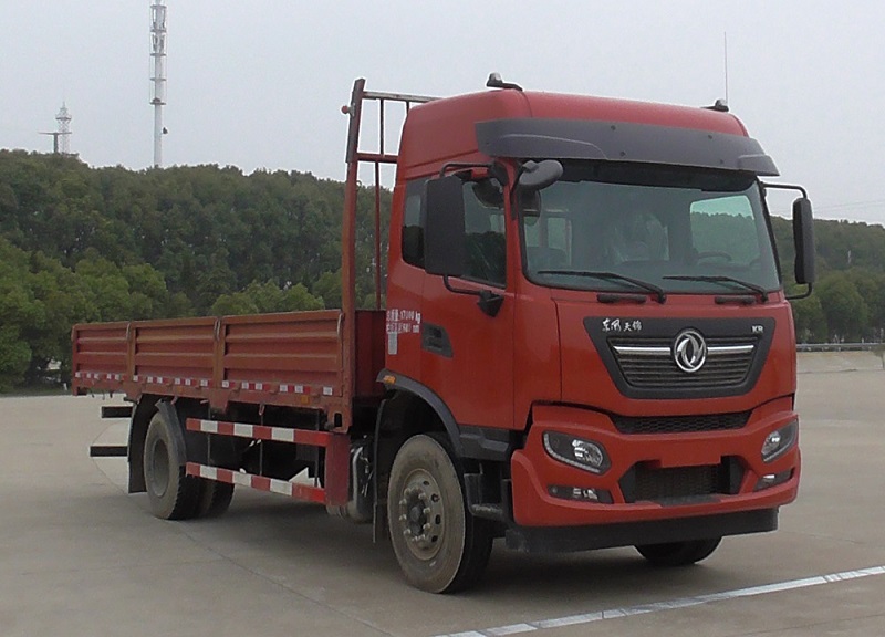 东风牌 200马力 载货汽车(DFH1170EX5)