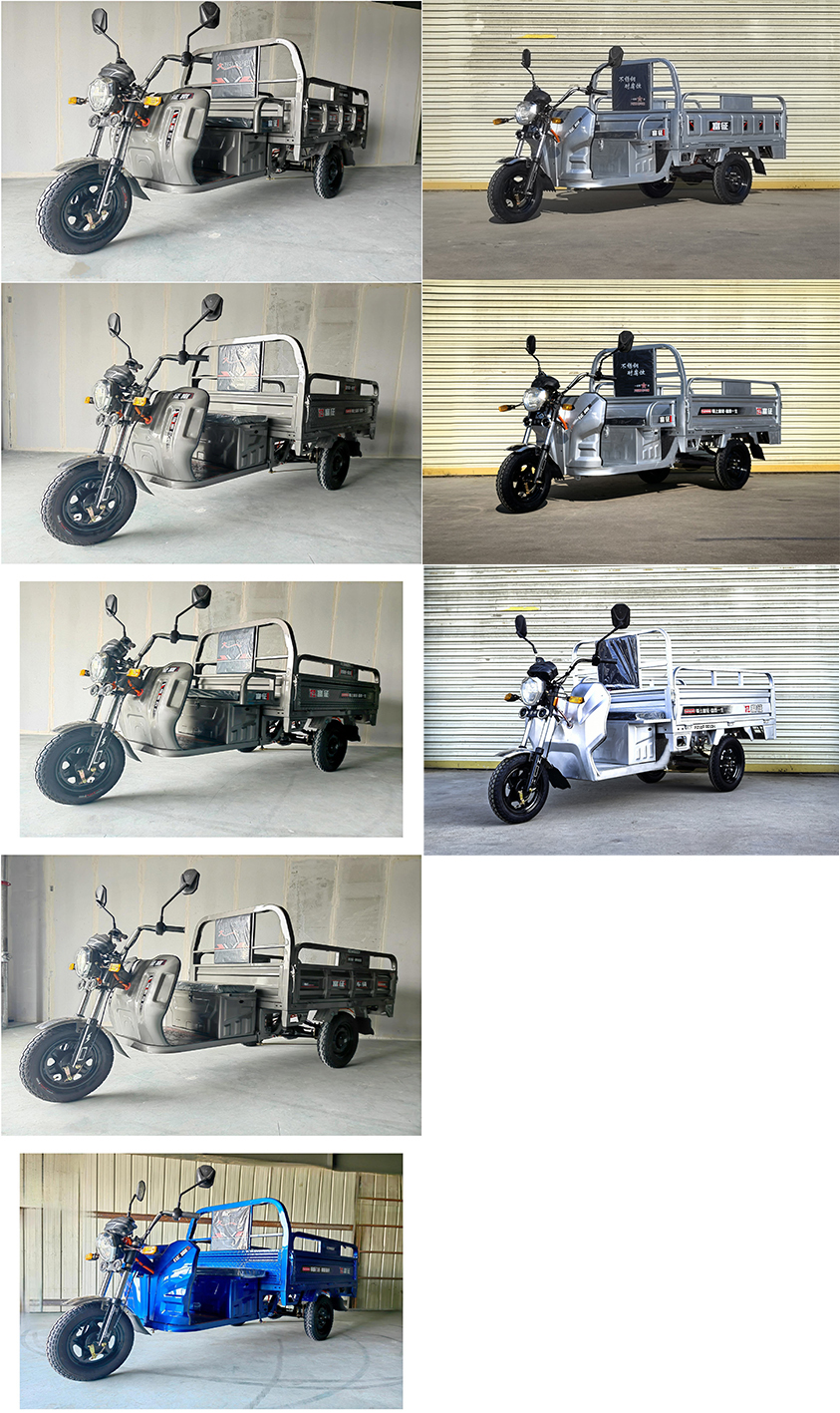 FZ1000DZH 富征牌纯电动前鼓式后鼓式电动正三轮摩托车图片