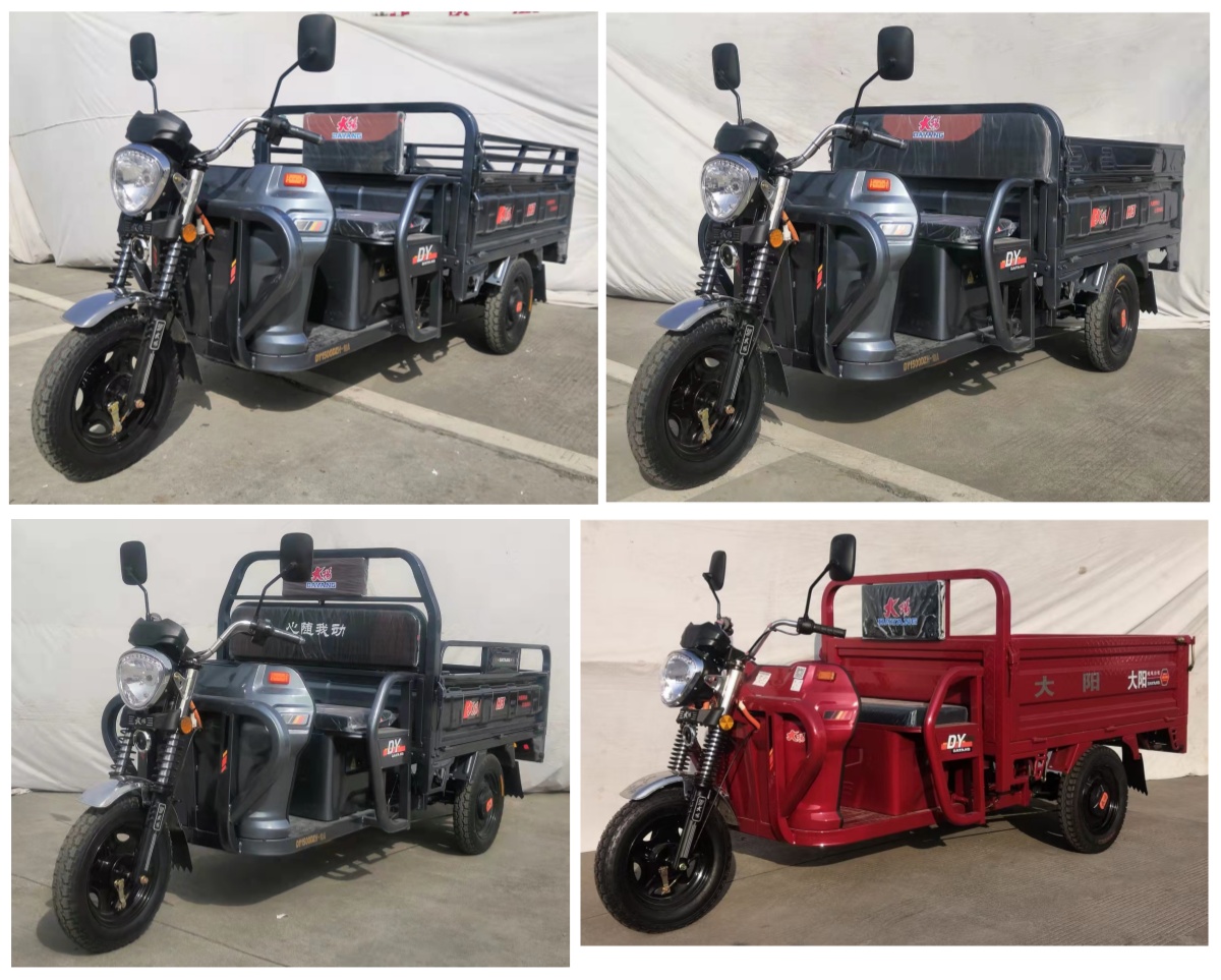 大阳牌DY1500DZH-10A电动正三轮摩托车公告图片
