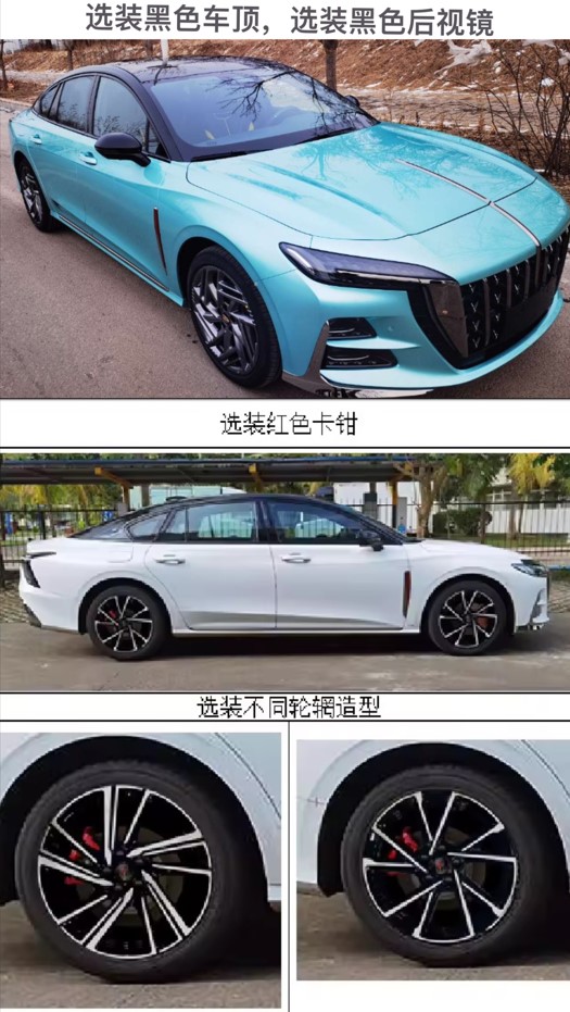 红旗牌CA7202HA6TA轿车公告图片