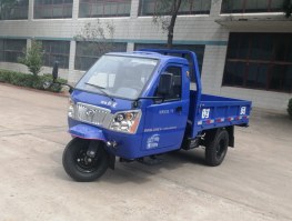 三轮汽车
