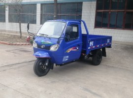 三轮汽车
