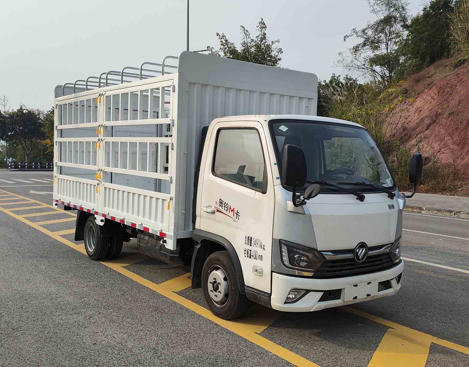 福田牌BJ5031CCY4JC6-AB1仓栅式运输车公告图片