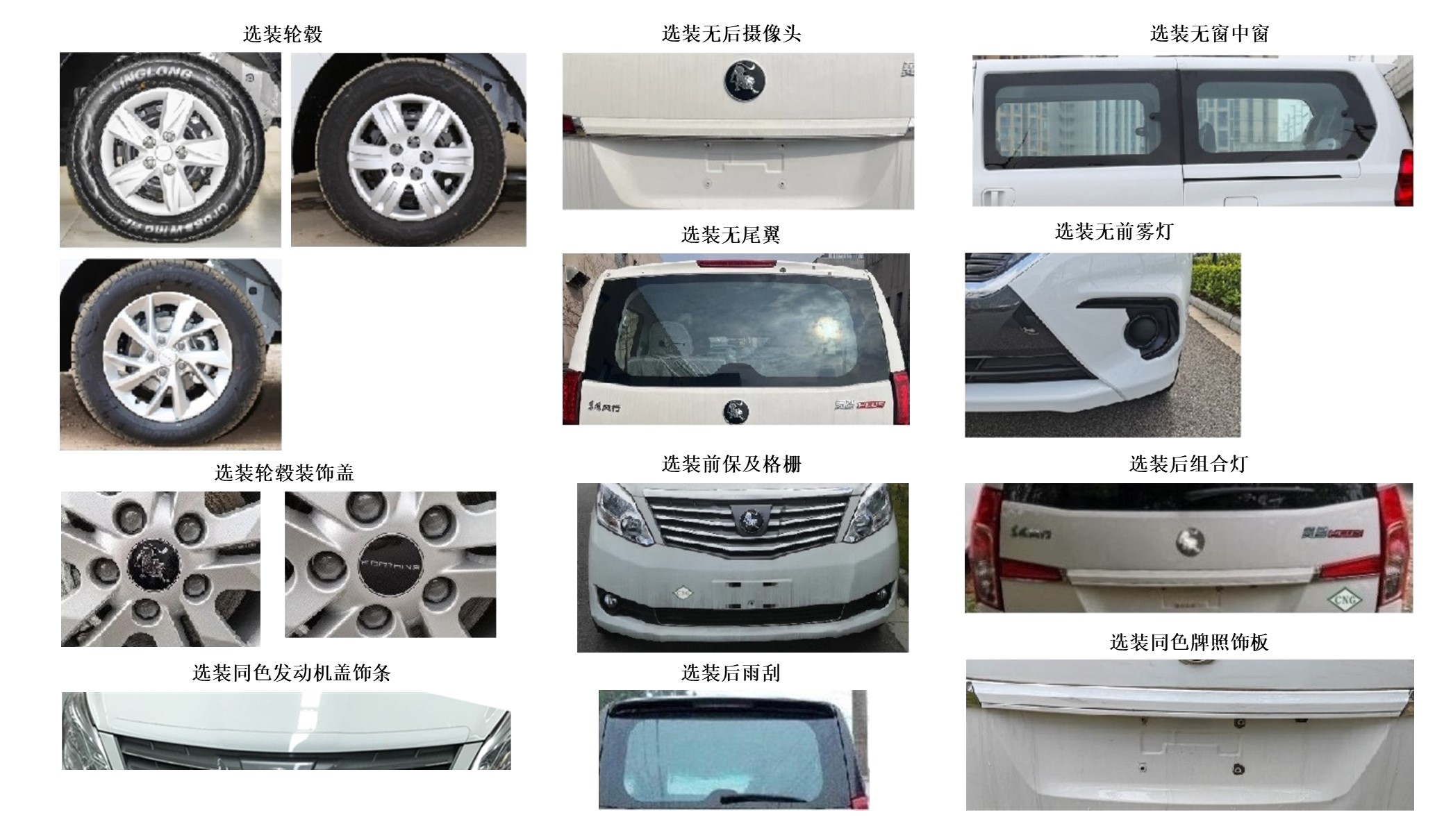 东风牌LZ6520M20A0CNG多用途乘用车公告图片