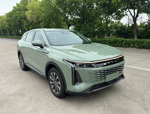 星途牌SQR6481T22CBG多用途乘用车公告图片
