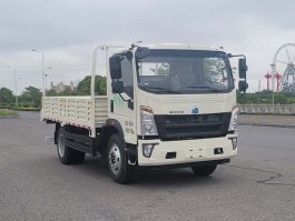 纯电动载货汽车