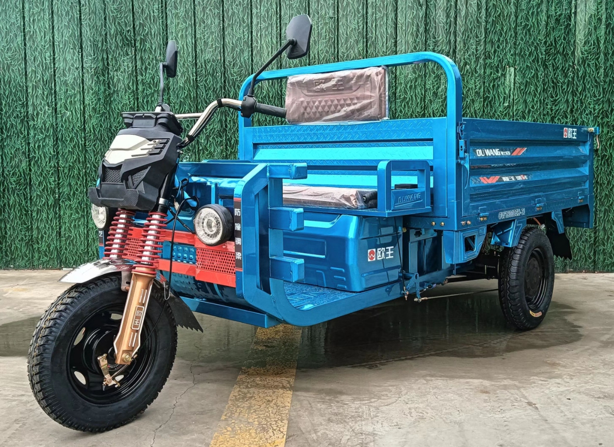 欧王牌OW1500DZH-7J电动正三轮摩托车公告图片