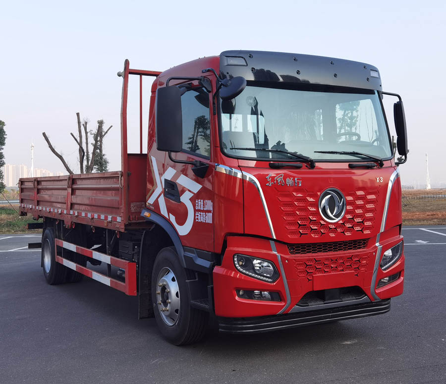 东风牌DFV1163GP6D1载货汽车公告图片