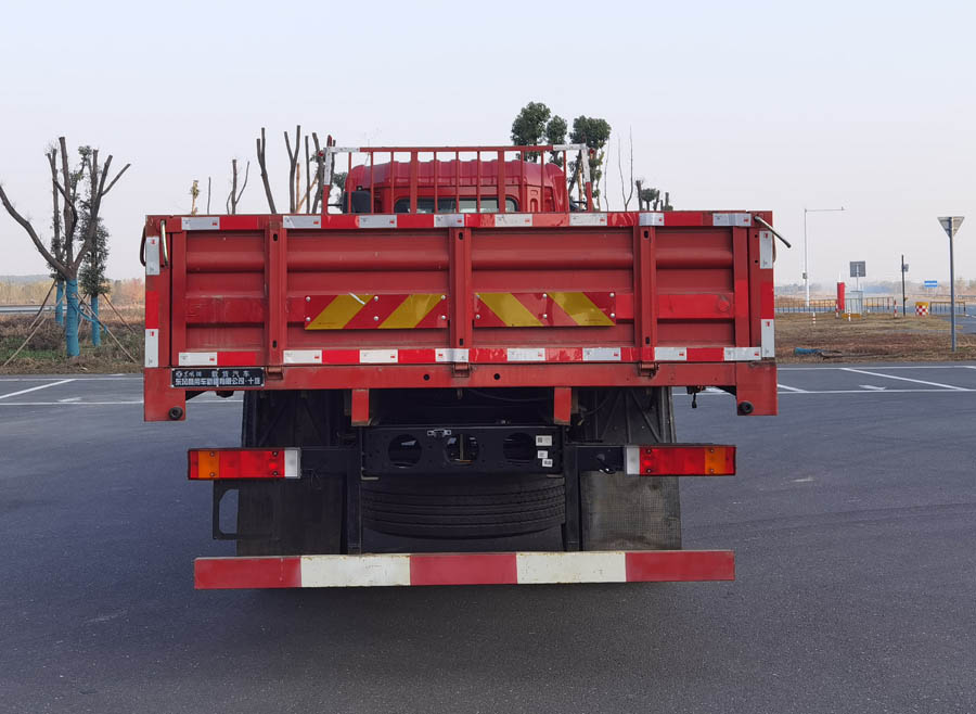 东风牌DFV1163GP6D1载货汽车公告图片