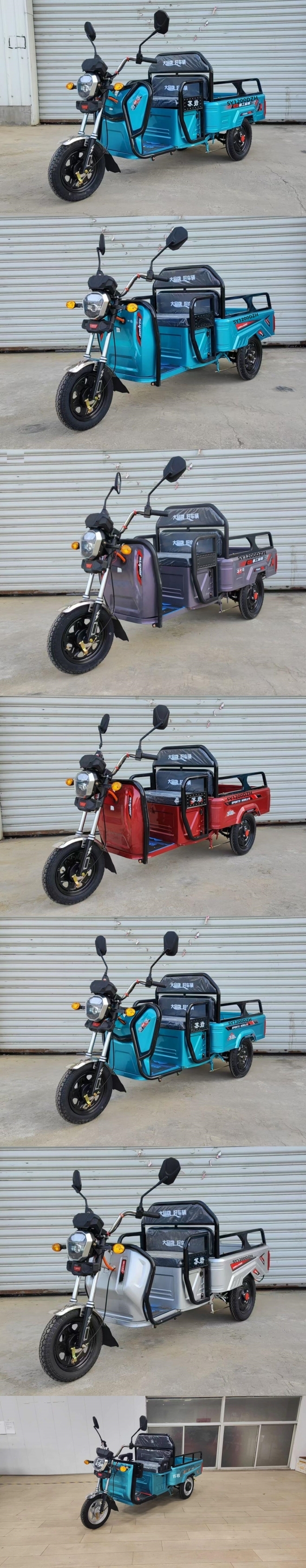 苏岩牌SY1200DZH电动正三轮摩托车公告图片
