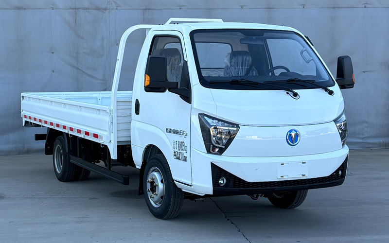 飞碟牌 143马力 纯电动载货汽车(FD1040D66BEV-1)