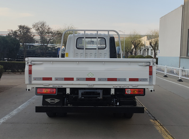 福田牌BJ1045VAJC6-20载货汽车公告图片
