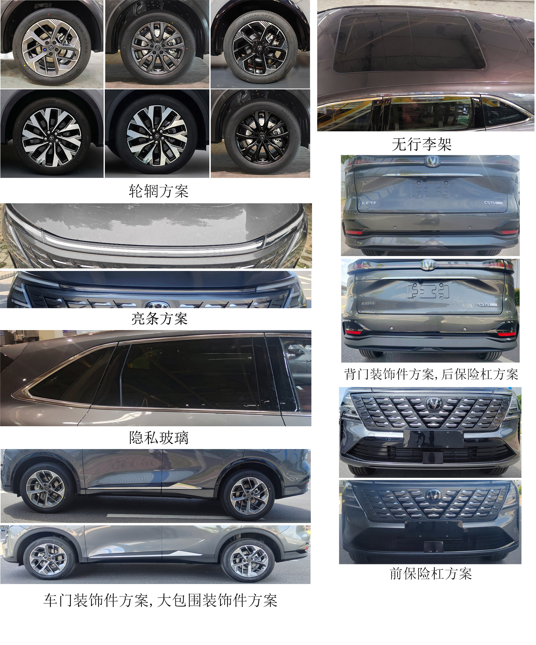 多用途乘用车图片