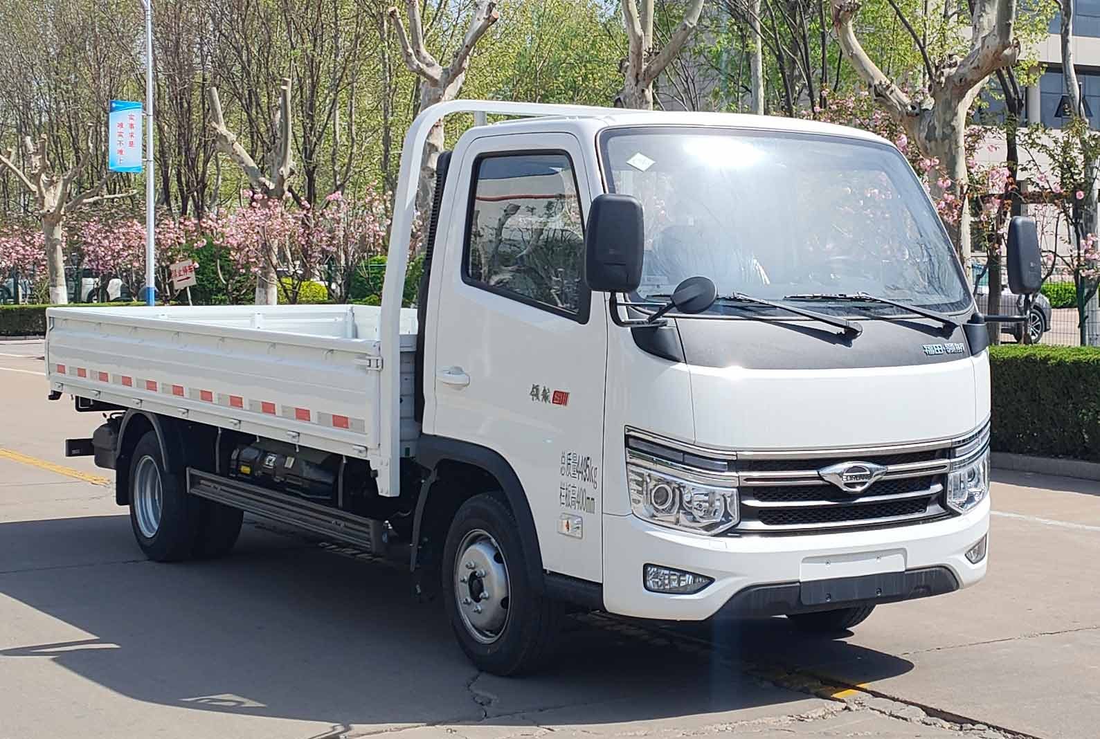福田牌BJ1045V9JC7-31载货汽车公告图片
