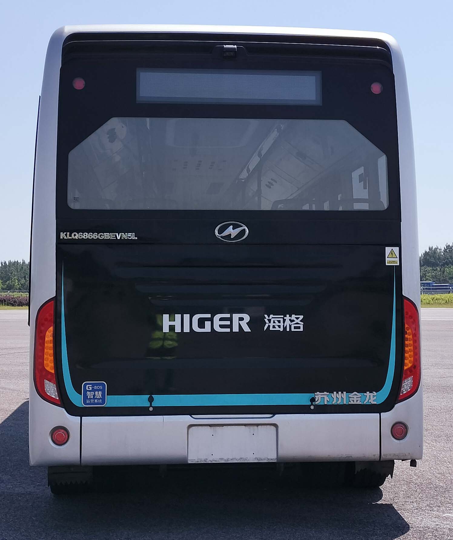 纯电动低入口城市客车图片