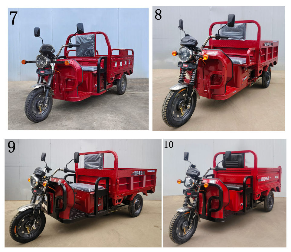 双胜牌SS1200DZH-25A电动正三轮摩托车公告图片
