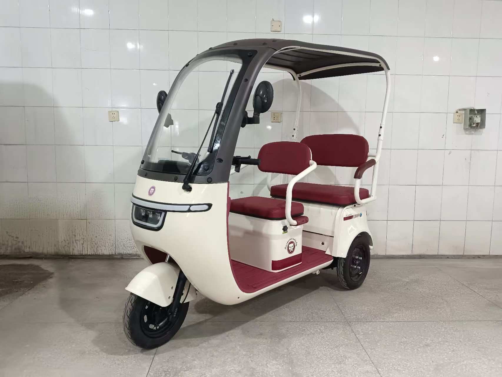 ZB1000DZK-13 五星钻豹牌纯电动前鼓式后鼓式电动正三轮摩托车图片