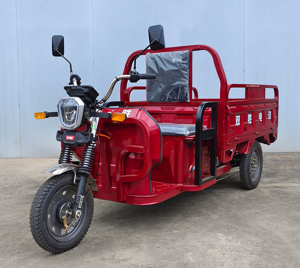 双胜牌SS1200DZH-25A电动正三轮摩托车公告图片