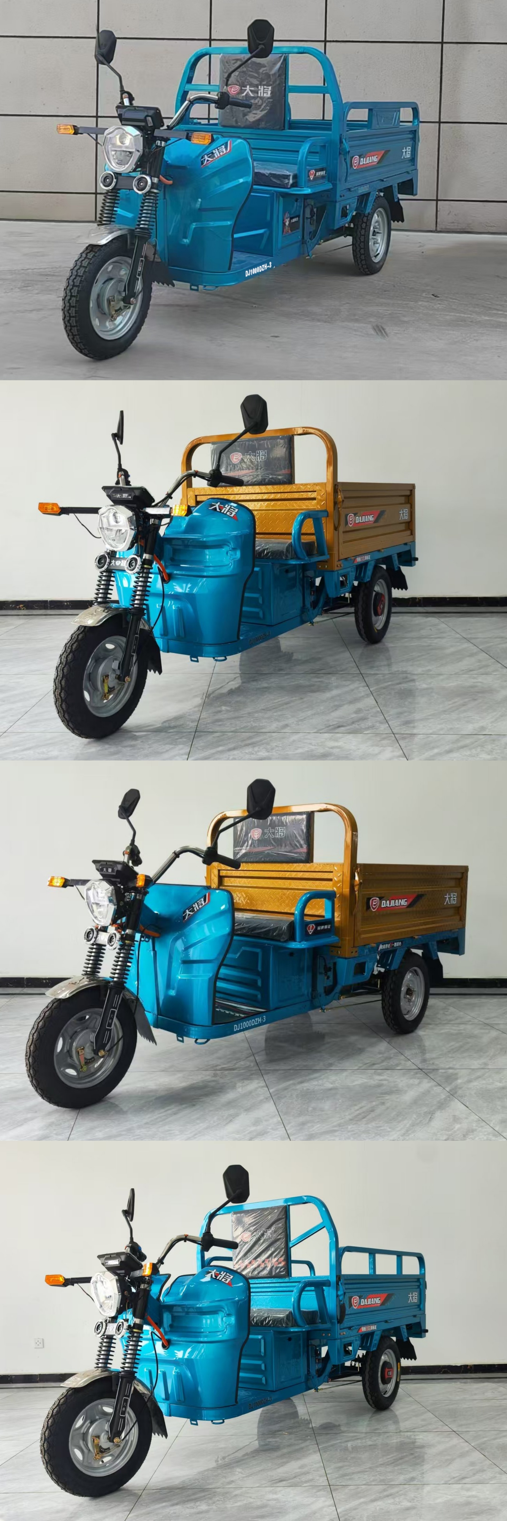 大将牌DJ1000DZH-3电动正三轮摩托车公告图片