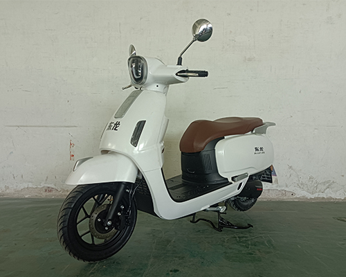 东龙牌DL125T-21S两轮摩托车图片