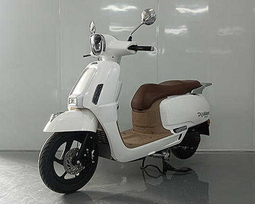 东龙牌DL125T-21S两轮摩托车公告图片
