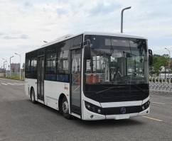 纯电动城市客车