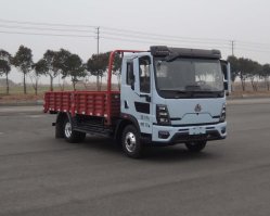 纯电动载货汽车