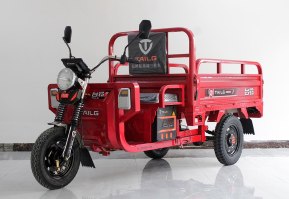电动正三轮摩托车