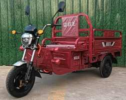 电动正三轮摩托车