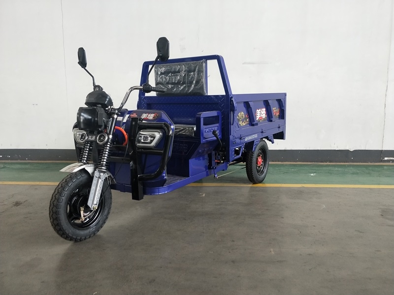 电动正三轮摩托车