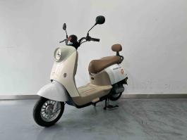 电动两轮摩托车