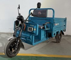 电动正三轮摩托车