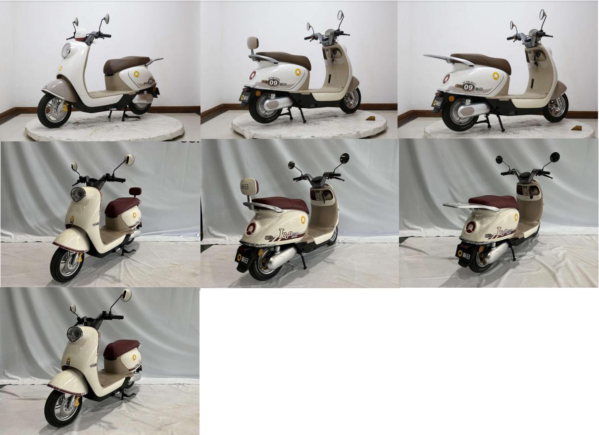 XR1000DT-2D 新日牌纯电动前盘式后盘式/鼓式电动两轮摩托车图片