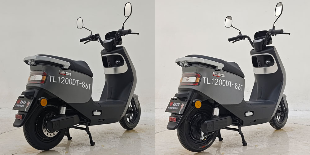 TL1200DT-86T 台铃牌纯电动前盘式后盘式/鼓式电动两轮摩托车图片