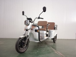 电动正三轮摩托车