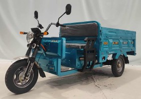 电动正三轮摩托车