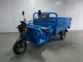 电动正三轮摩托车