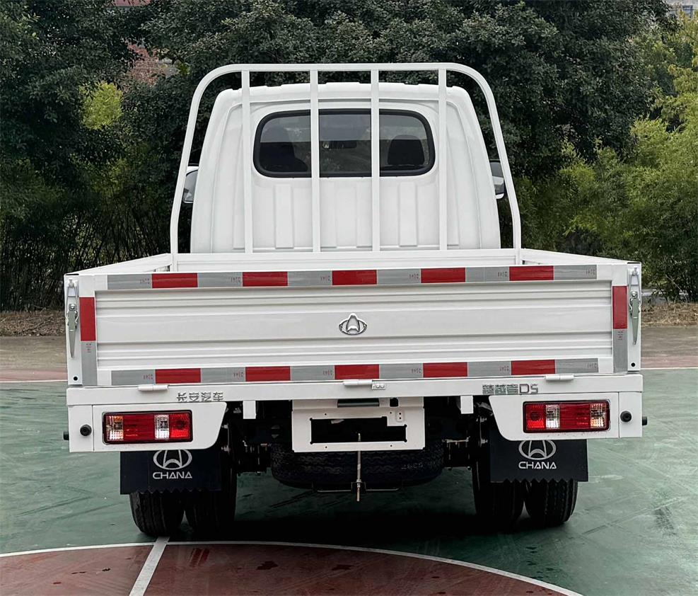 CKS1032D5FS6B2 长安牌122马力单桥汽油3.1米国六载货汽车图片